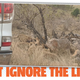 Illustration for article titled Ignore That Pride Of Lions Devouring Some Poor, Delicious Animal. What Car Is This?